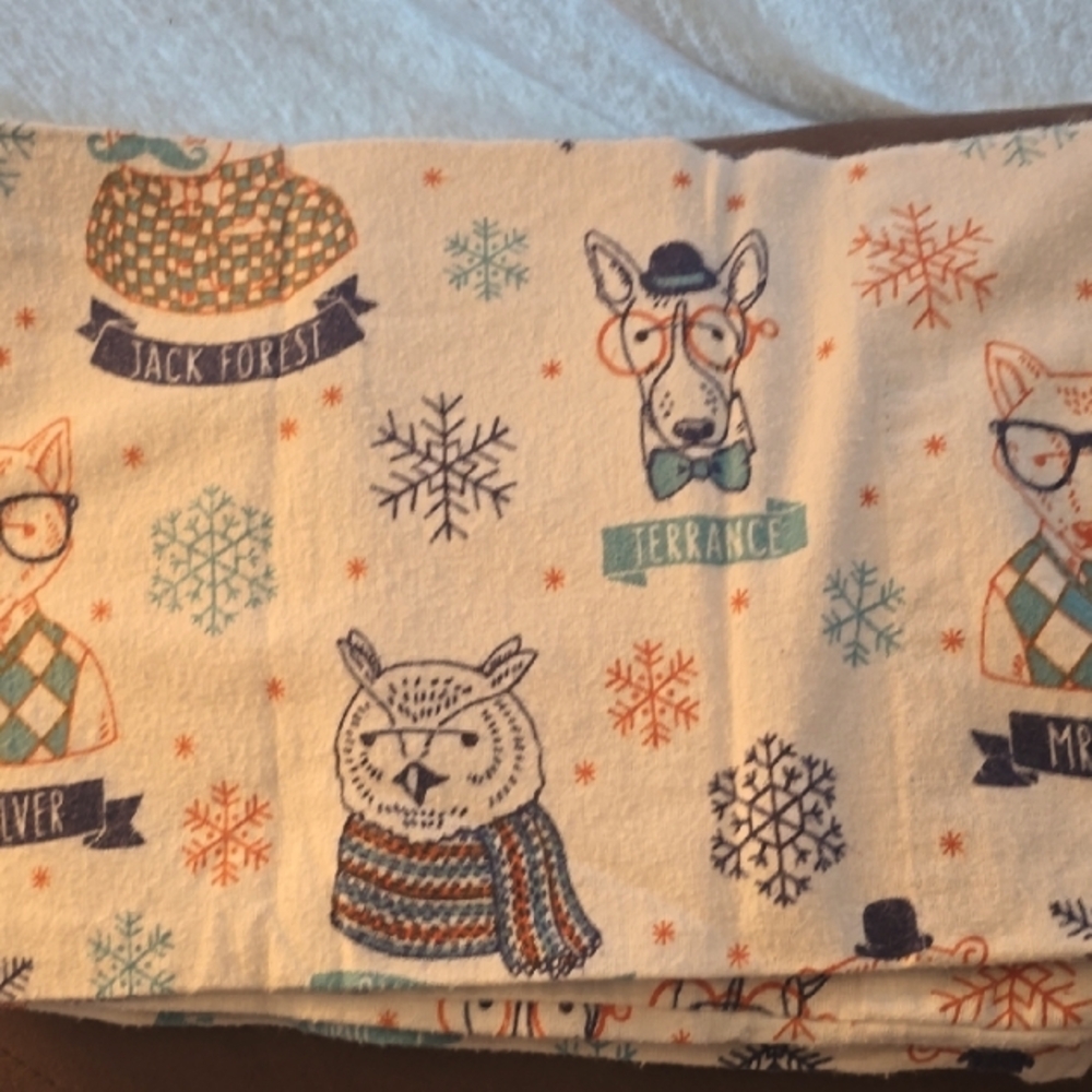 Very cute flannel kids sheet set